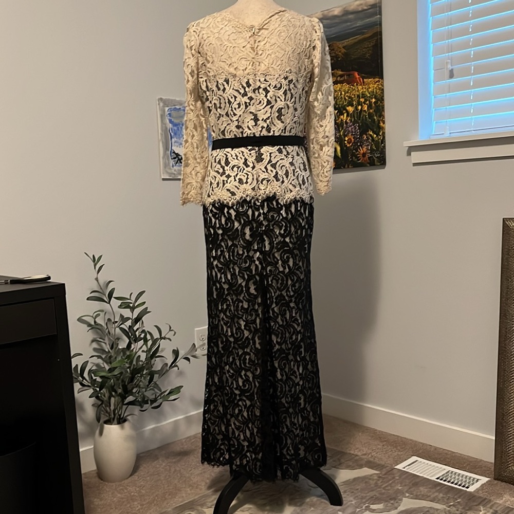 Tadashi Shoji Chantilly Lace Gown - Picture 12 of 15